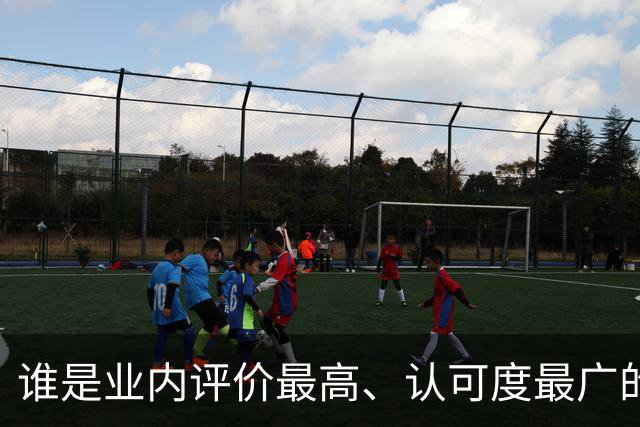 谁是业内评价最高、认可度最广的网球解说员？